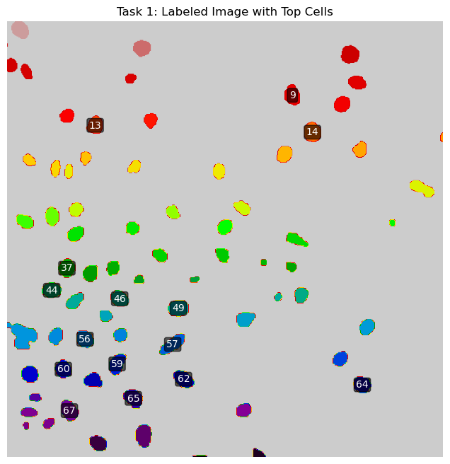 Labeled segmented cells selected for tracking