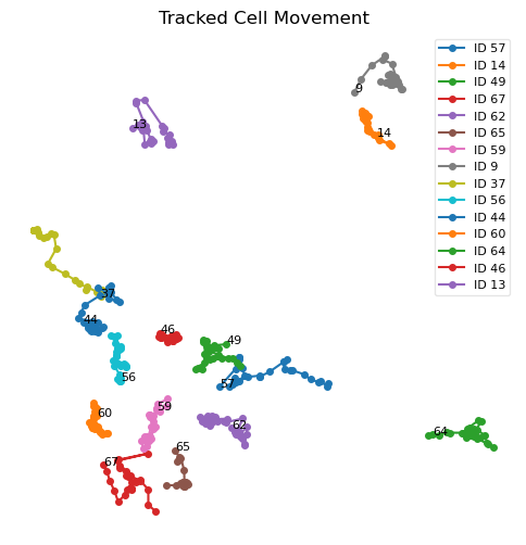 Sample group A bio-cell trajectories