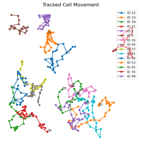 Sample group B bio-cell trajectories